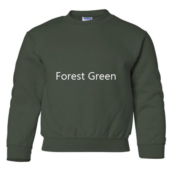 Harley Davidson Embroidered YOUTH Sweatshirt Kids Boy Girl Unisex Crewneck Wings - Picture 11 of 12